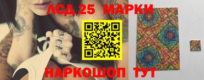 гашик Дубна