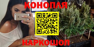 дживик Донской