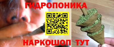 гашик Дубна