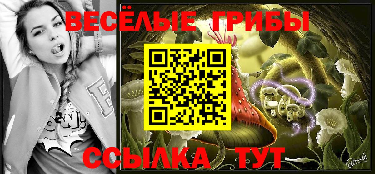 Псилоцибиновые грибы Psilocybine cubensis  где можно купить наркотик  Лесной  Вход с VPN 