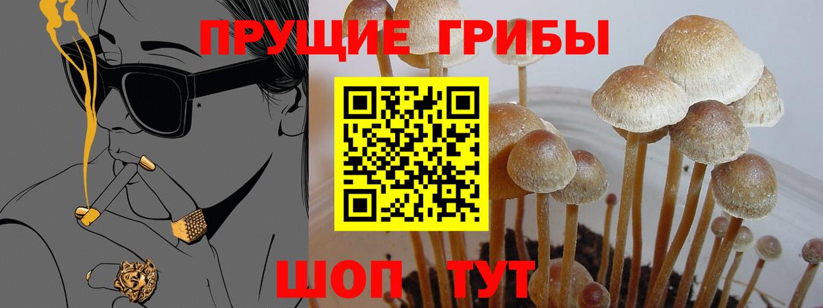 Галлюциногенные грибы мицелий Лесной